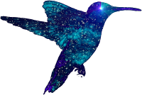 � E. S. Pfahl 2022