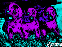 3 Purple Puppies