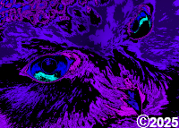 Purple Bird Face