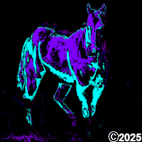 blue and purple horse