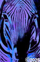 Pastel Zebra Face