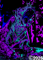 colorful tiger