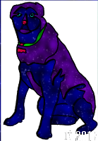 Dog made of outer space